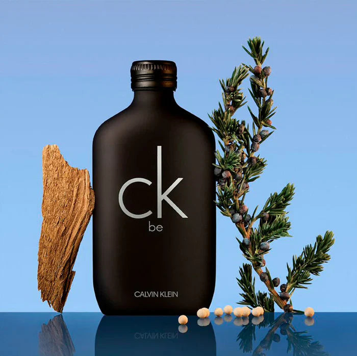 Calvin Klein Ck Be Eau de Toilette for Unisex (100ml)