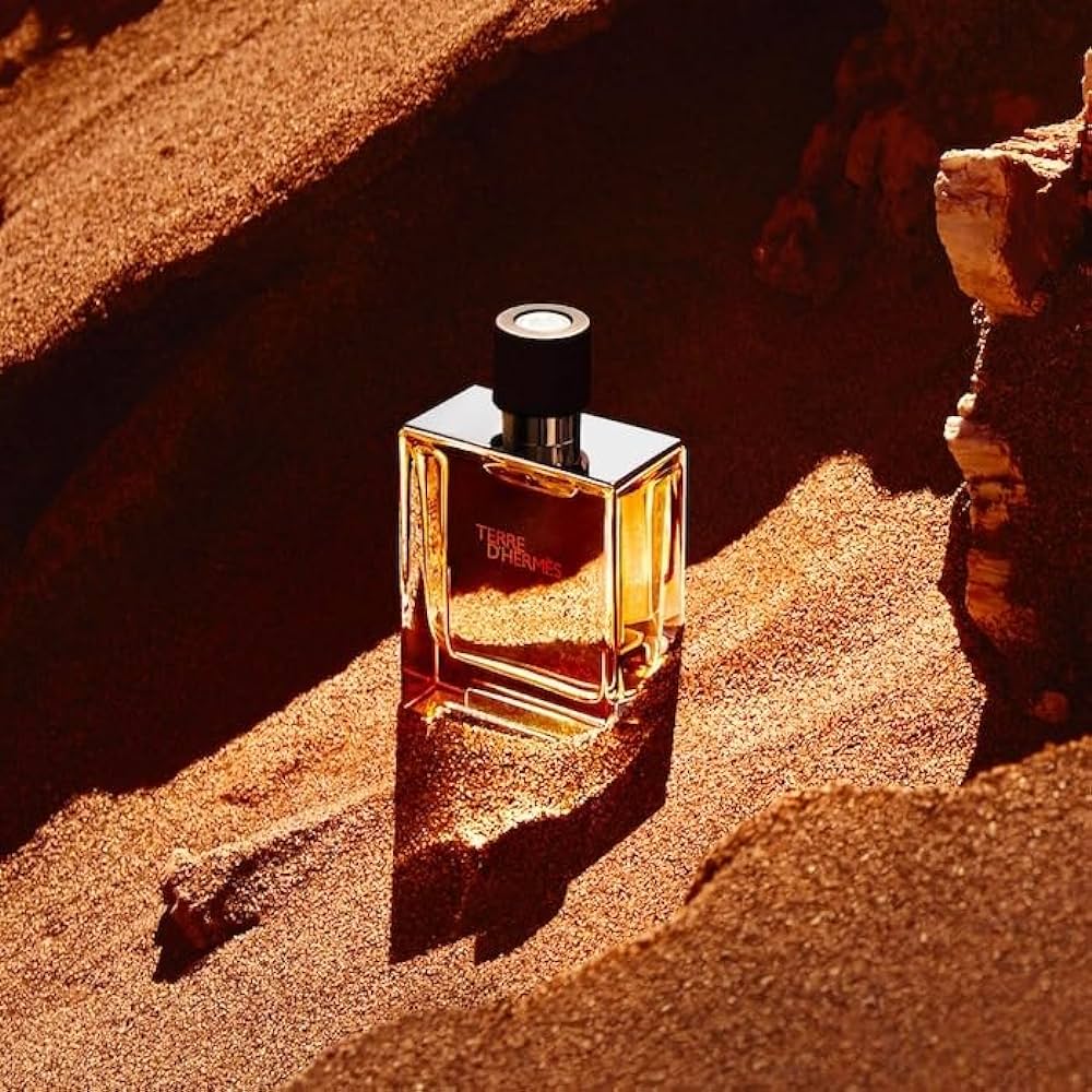 Hermes Terre D' Hermes Eau De Toilette For Men (100ml)