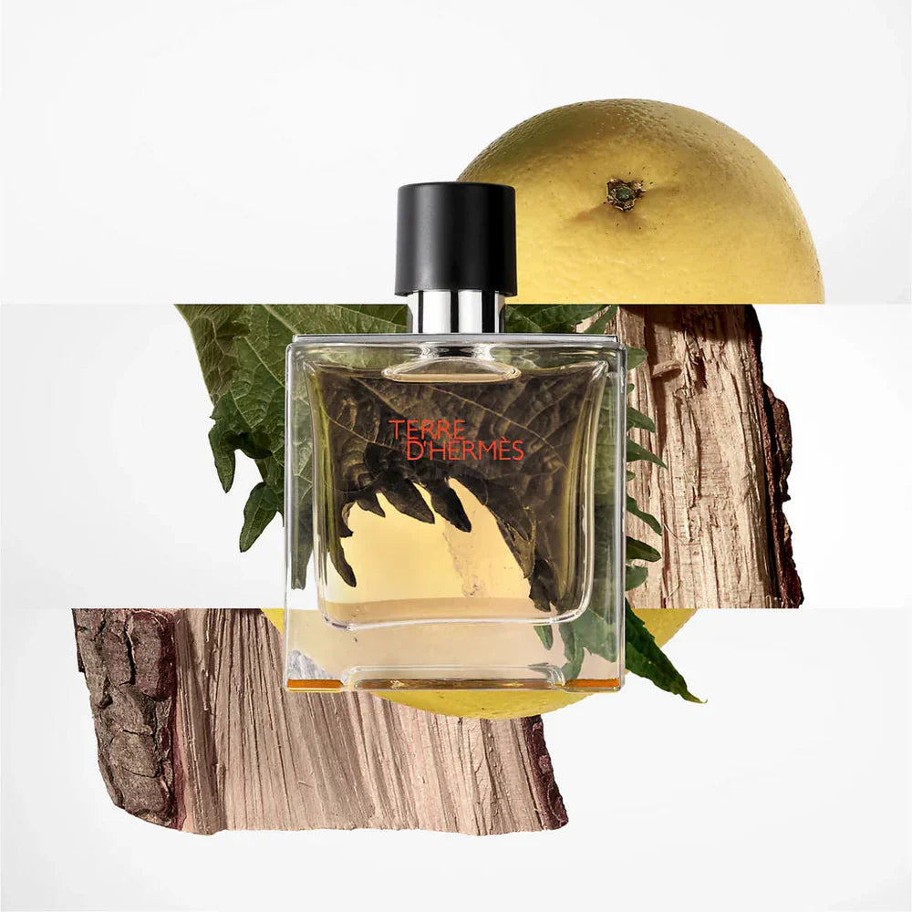 Hermes Terre D' Hermes Eau De Toilette For Men (100ml)