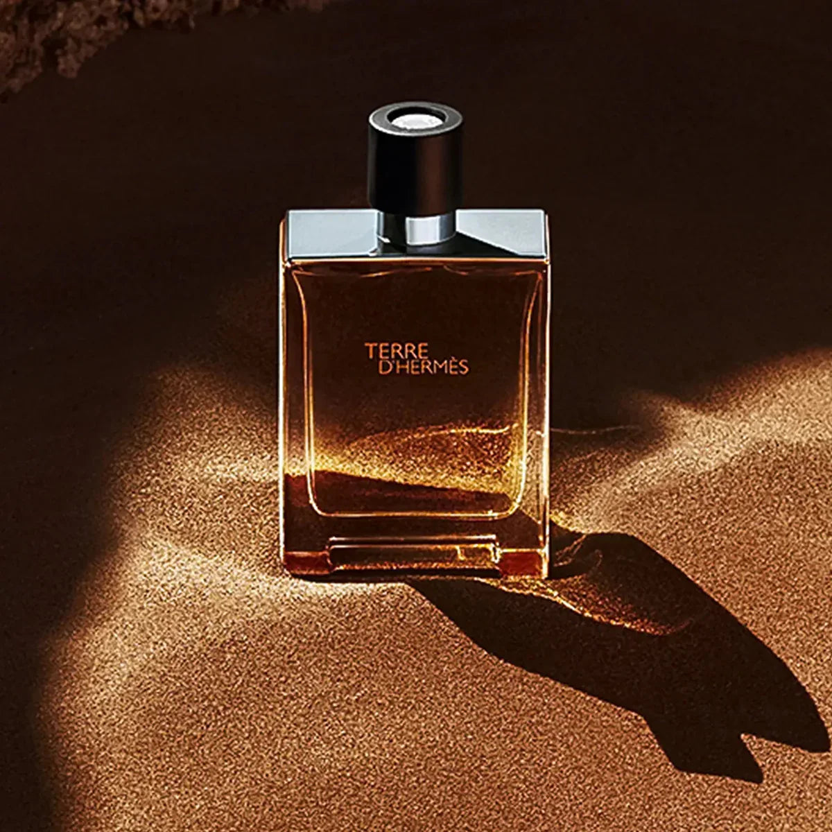 Hermes Terre D' Hermes Eau De Toilette For Men (100ml)